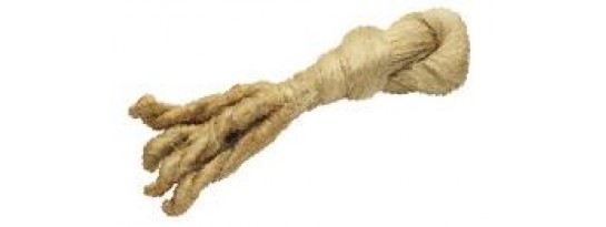 Canapa pettinata Canapa pettinata